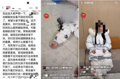 500万粉丝网红称抓蜈蚣致失明？成都警方 